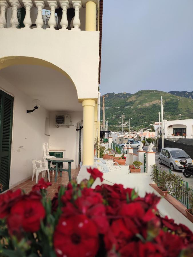 Apartament Casa D'Ambra Forio di Ischia Zewnętrze zdjęcie