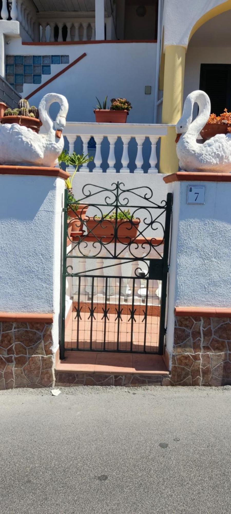 Apartament Casa D'Ambra Forio di Ischia Zewnętrze zdjęcie